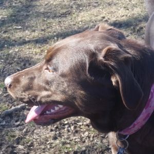 Meet your Posher, Kerbee